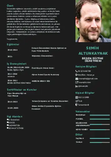 cv indir